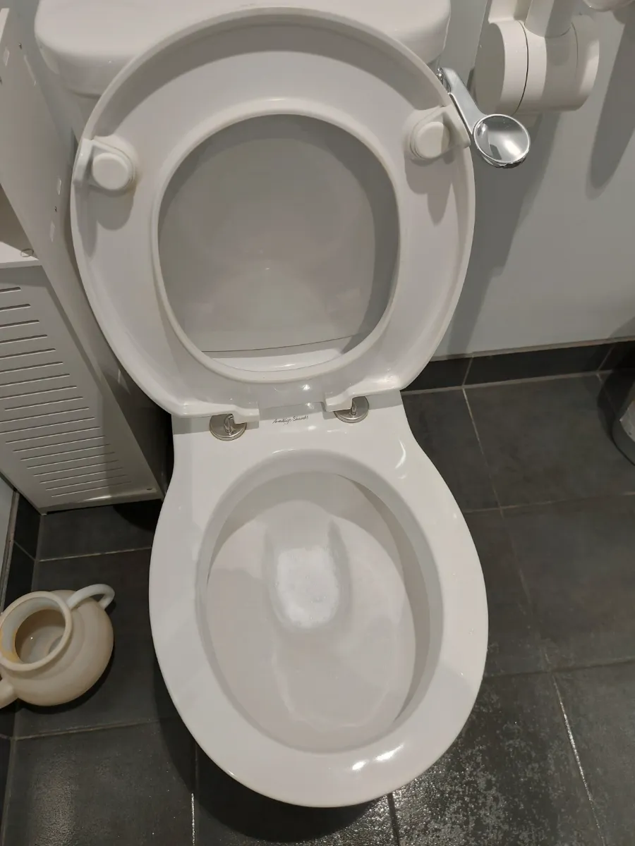 Toilet bowl and seat scrubbed and sanitized, cleaned by Spark & Shine Cleaning Co. in Myrtle Beach, SC