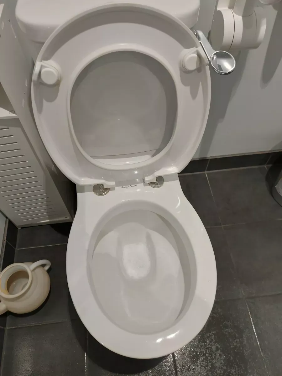 Toilet bowl and seat scrubbed and sanitized, cleaned by Spark & Shine Cleaning Co. in Myrtle Beach, SC